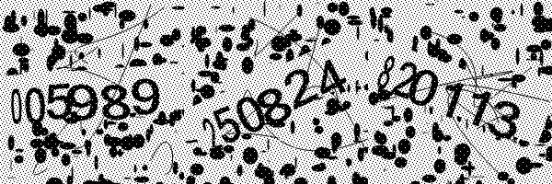 117536