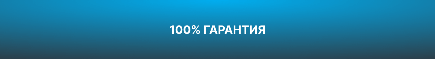 ГАРАНТИЯ ЗАЩИТЫ.png