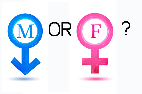male-or-female.jpg