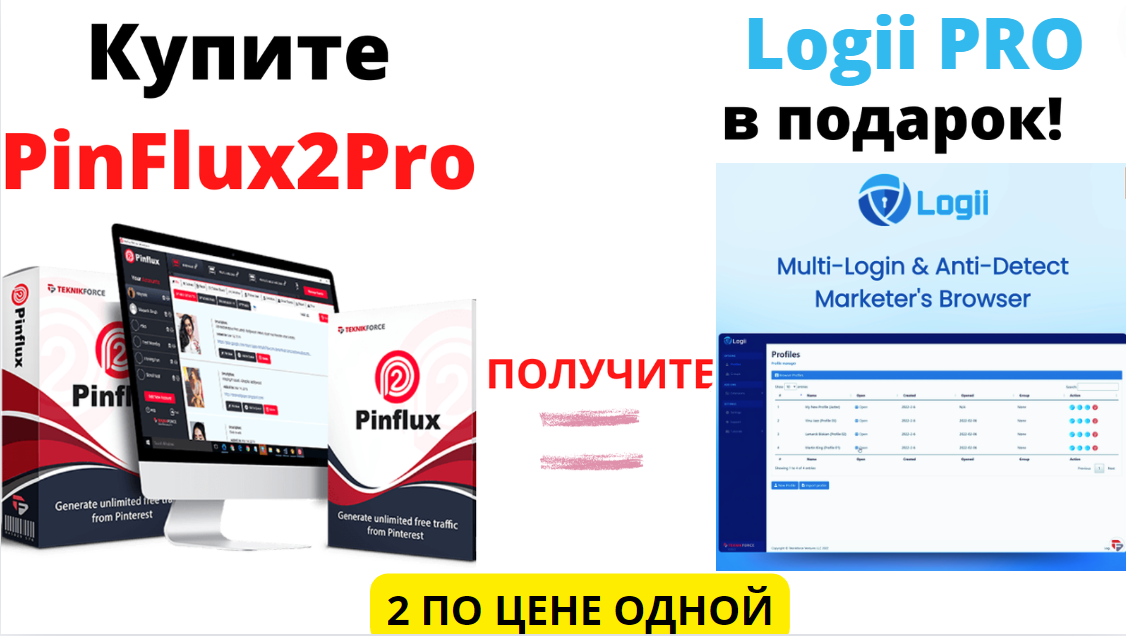 pinflux2 and logii.png