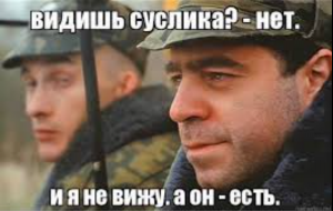 2025-03-19_12-56-29.png