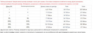 translated_image_ru (2).png