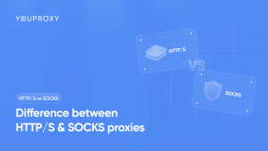 S and SOCKS proxies.png