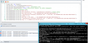 Дичь (CMD из C#) 2019-01-19 в 1.13.13.png