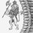 legioner9